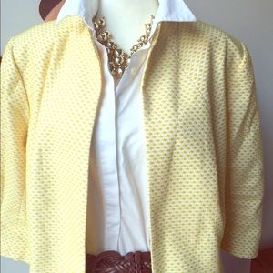 Stunning yellow jacket - gorgeous!  🌻